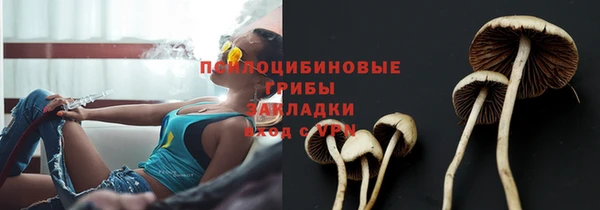 тгк Абинск