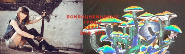 стаф Абаза