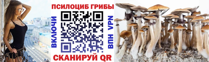 Псилоцибиновые грибы мицелий  Горбатов 